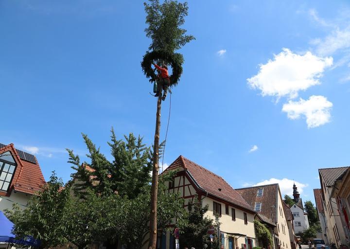 Wackernheimer Hof